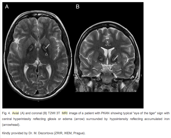 Dusek et al. 2012|