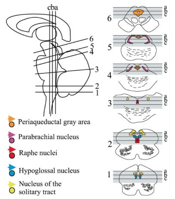 Topolovec Map