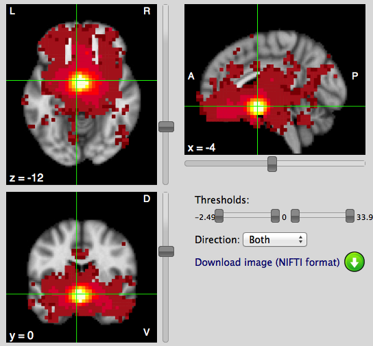 vmn_coactivation.png